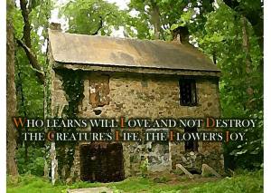 house_with_inscription